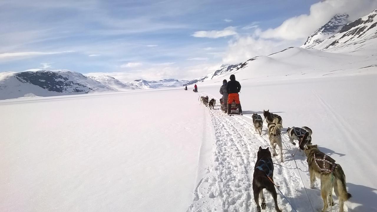 Bygdin Hoyfjellshotell Beitostolen 外观 照片